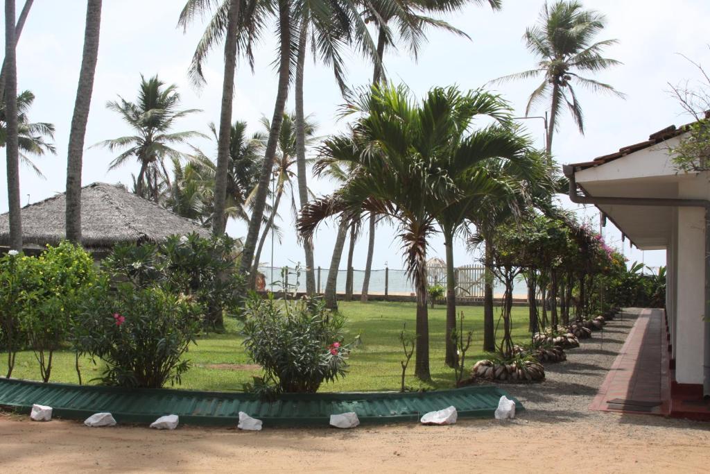 Ceylonica Beach Hotel Negombo Exterior foto